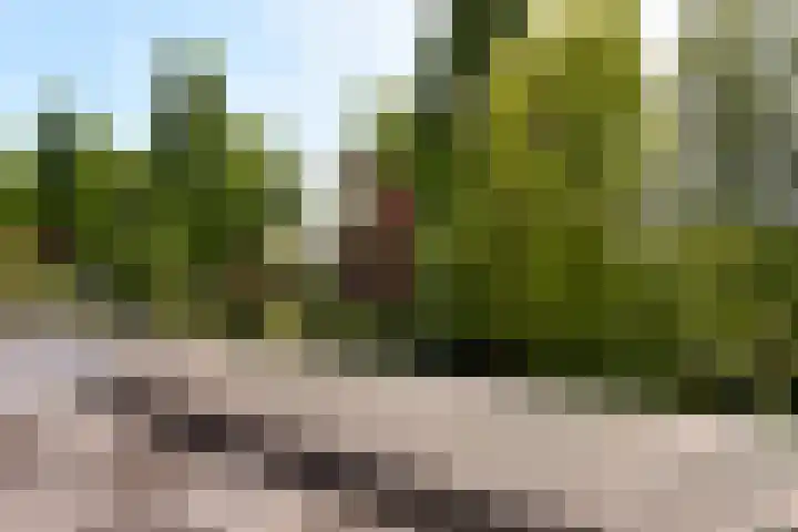Kievitslaan 97 Vinkeveen thumbnail 24