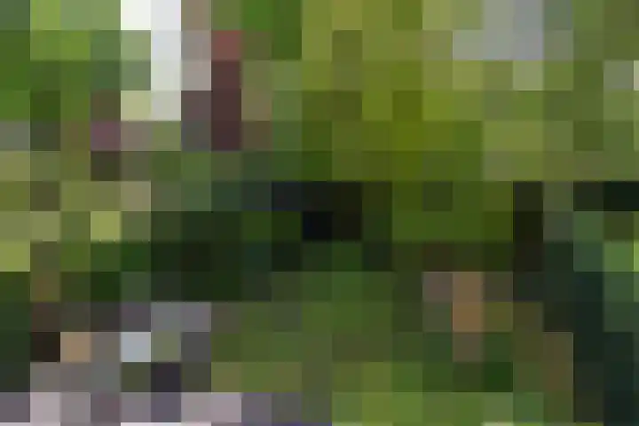 Kievitslaan 97 Vinkeveen thumbnail 32