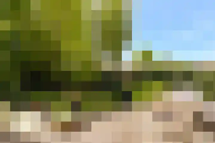 Kievitslaan 97 Vinkeveen thumbnail 35