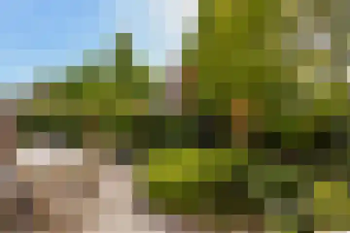 Kievitslaan 97 Vinkeveen thumbnail 36