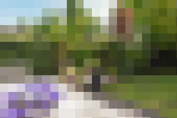 Kievitslaan 97 Vinkeveen thumbnail 37
