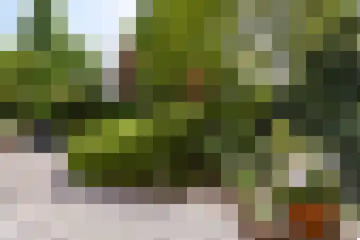 Kievitslaan 97 Vinkeveen thumbnail 38
