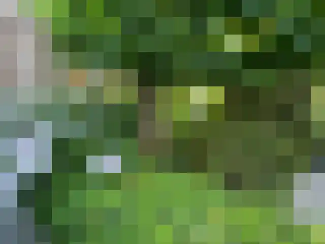 Kievitslaan 97 Vinkeveen thumbnail 42