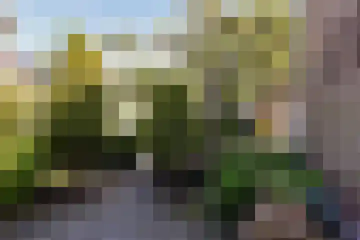 Kievitslaan 97 Vinkeveen thumbnail 43