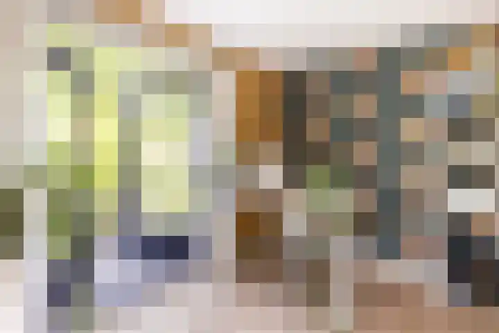 Kievitspad 12 Haaren thumbnail 11