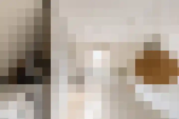 Kievitspad 12 Haaren thumbnail 17