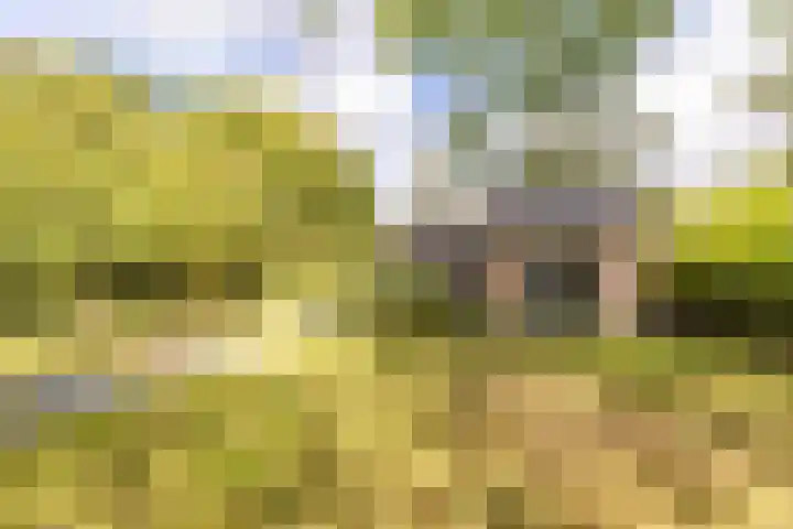 Kievitspad 12 Haaren thumbnail 22