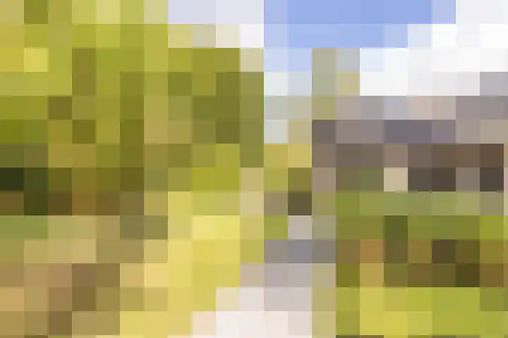 Kievitspad 12 Haaren thumbnail 23