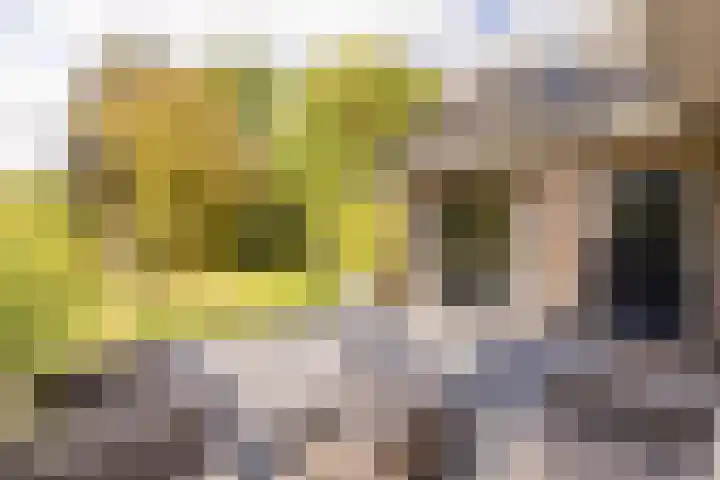 Kievitspad 12 Haaren thumbnail 24