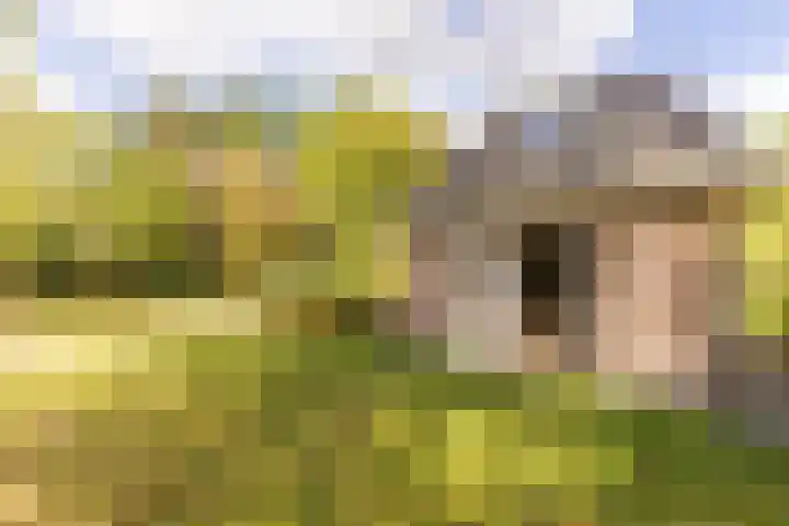 Kievitspad 12 Haaren thumbnail 25
