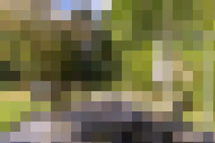 Kievitspad 12 Haaren thumbnail 26