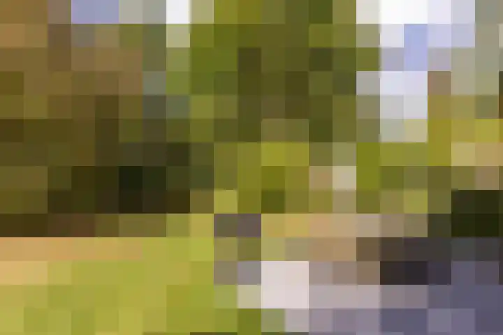 Kievitspad 12 Haaren thumbnail 27