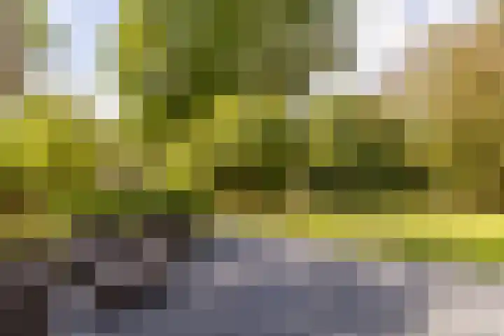Kievitspad 12 Haaren thumbnail 28