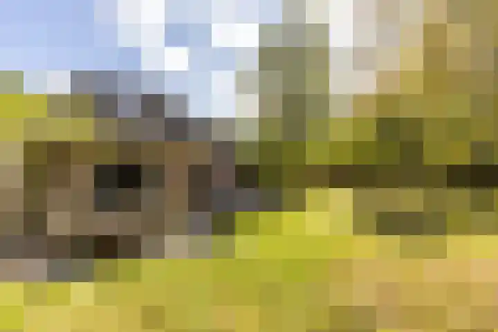 Kievitspad 12 Haaren thumbnail 29