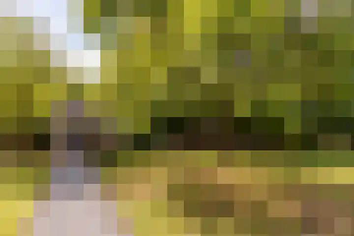 Kievitspad 12 Haaren thumbnail 30