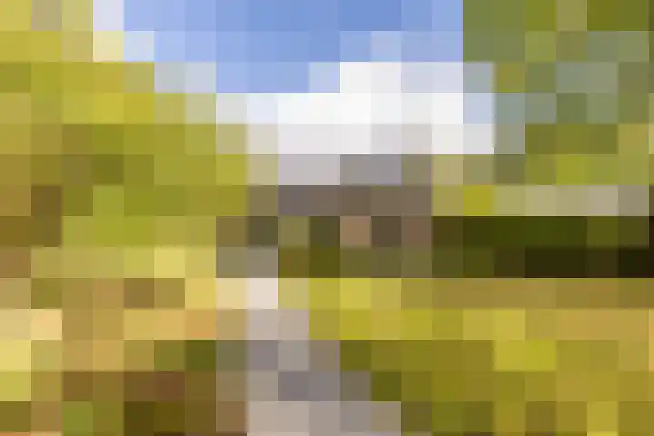 Kievitspad 12 Haaren thumbnail 31