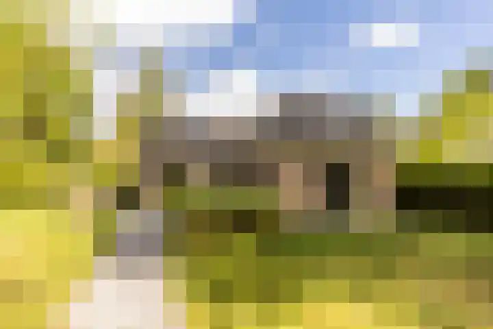 Kievitspad 12 Haaren thumbnail 32