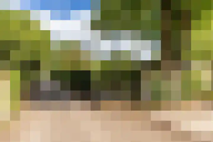 Kievitspad 12 Haaren thumbnail 33