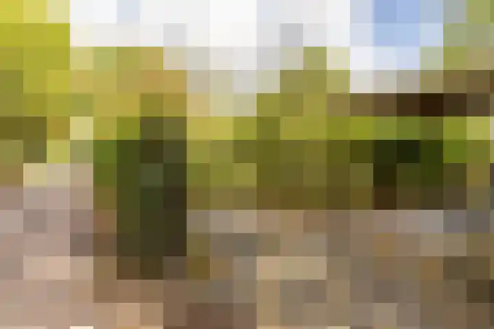 Kievitspad 12 Haaren thumbnail 34