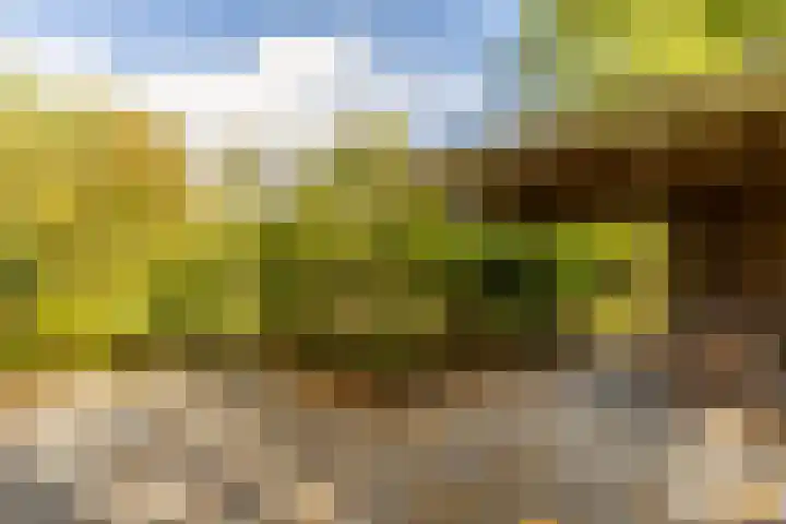 Kievitspad 12 Haaren thumbnail 35
