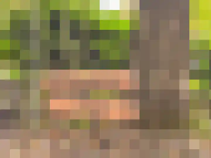 Kievitspad 12 Haaren thumbnail 36