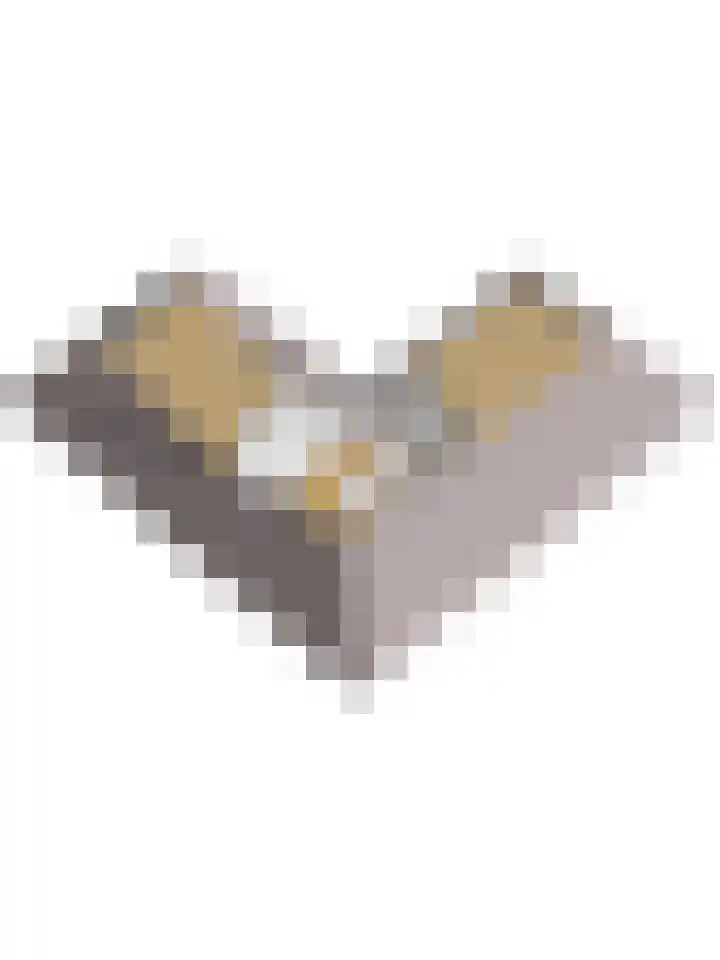Kievitspad 12 Haaren thumbnail 41