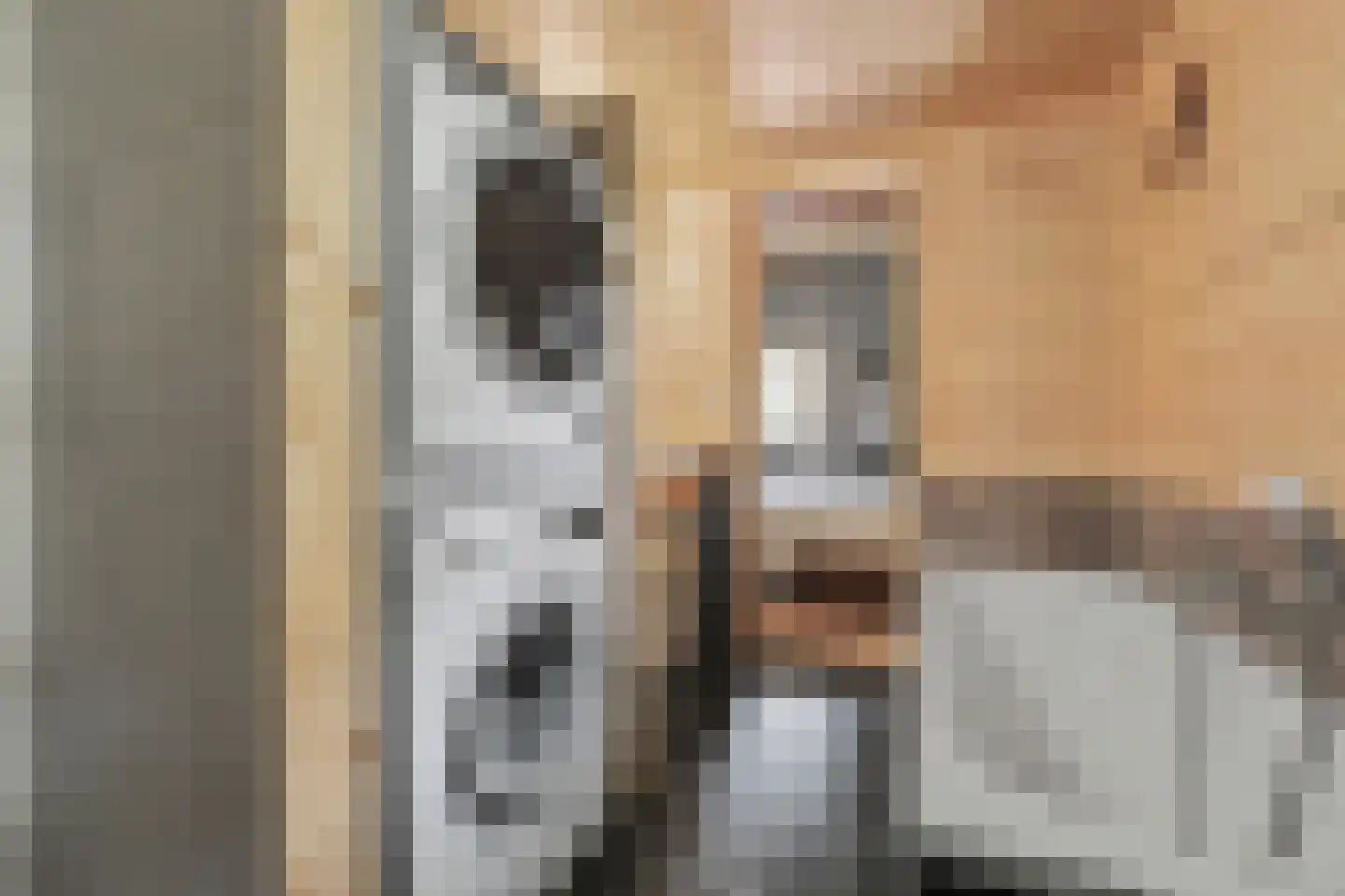 Kievitspad 4 Haaren thumbnail 20