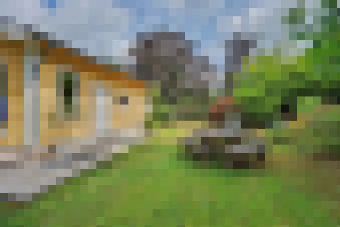 Kievitspad 4 Haaren thumbnail 29