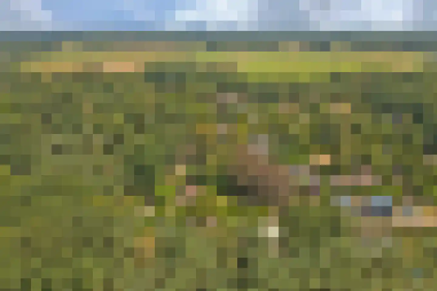 Kievitspad 4 Haaren thumbnail 39