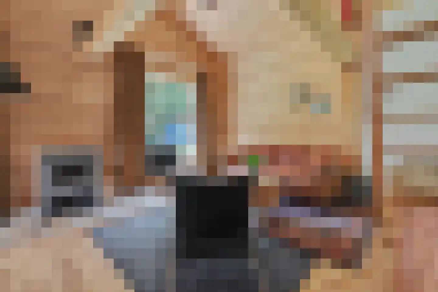 Kievitspad 4 Haaren thumbnail 5