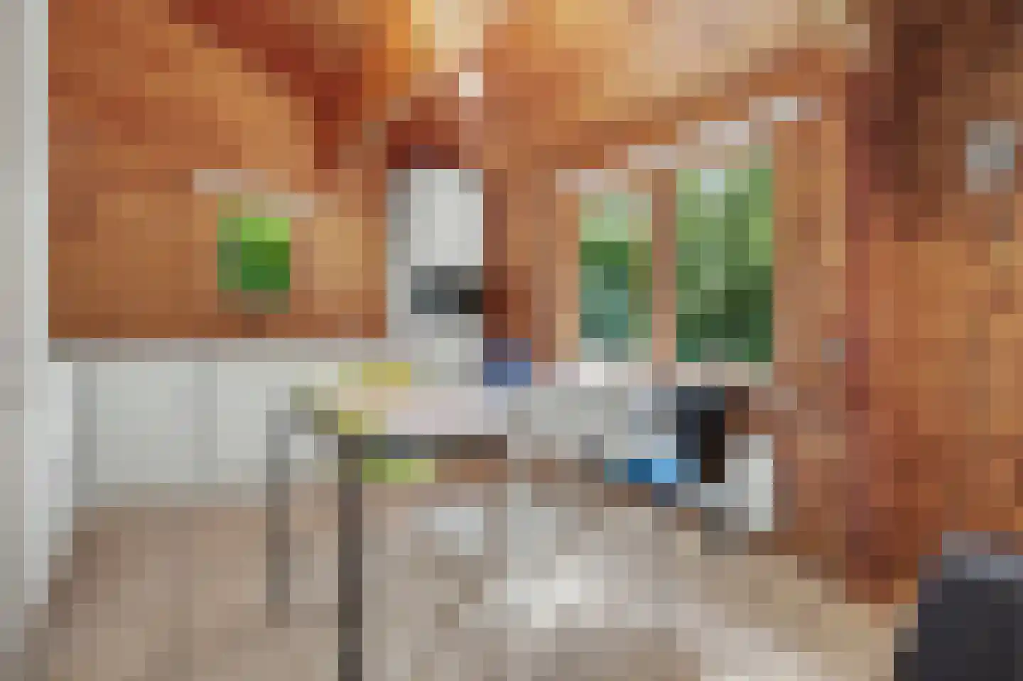 Kievitspad 41 Haaren thumbnail 10