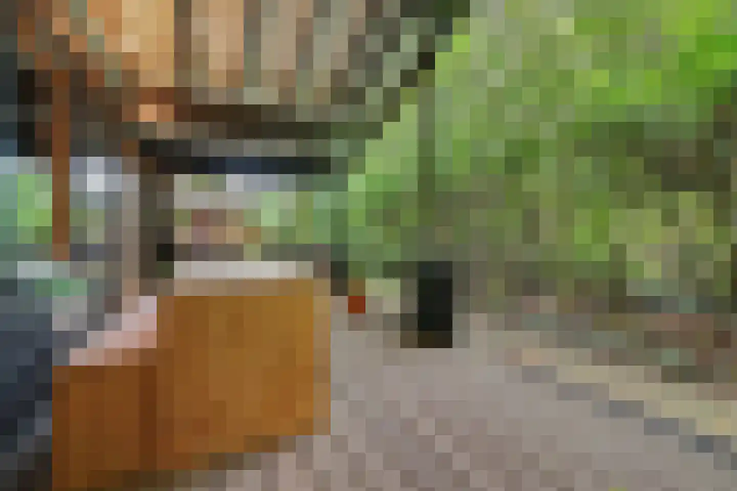 Kievitspad 41 Haaren thumbnail 21