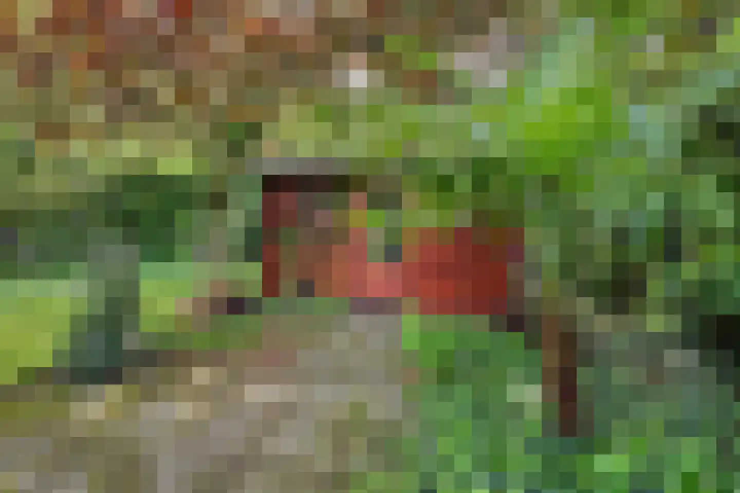 Kievitspad 41 Haaren thumbnail 24