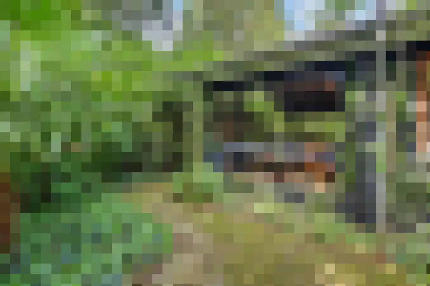 Kievitspad 41 Haaren thumbnail 26