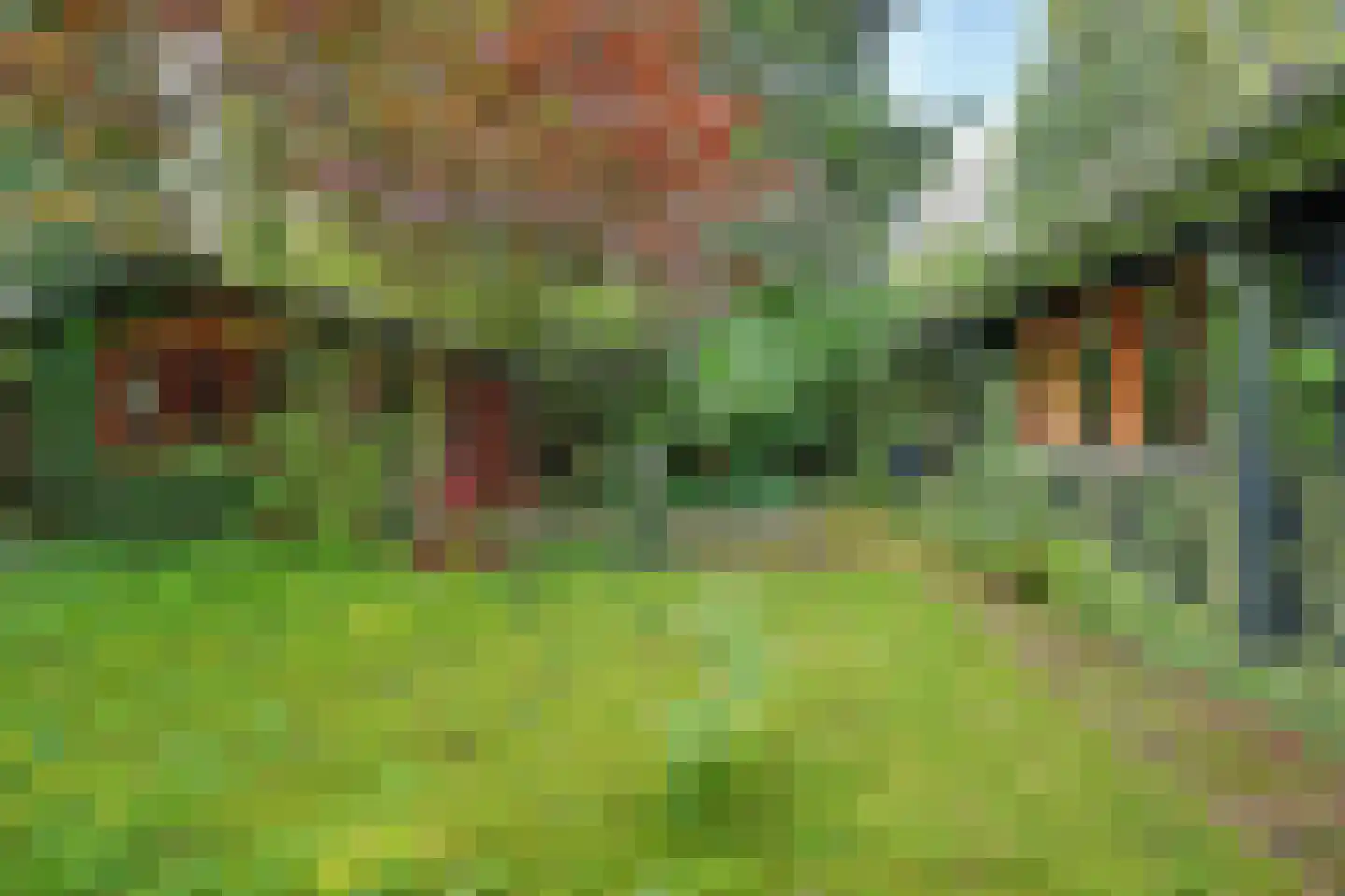 Kievitspad 41 Haaren thumbnail 29