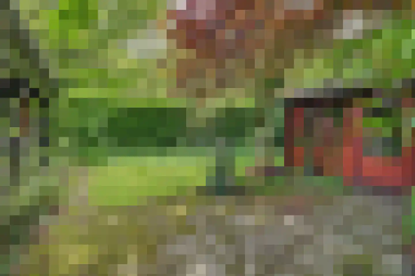 Kievitspad 41 Haaren thumbnail 30