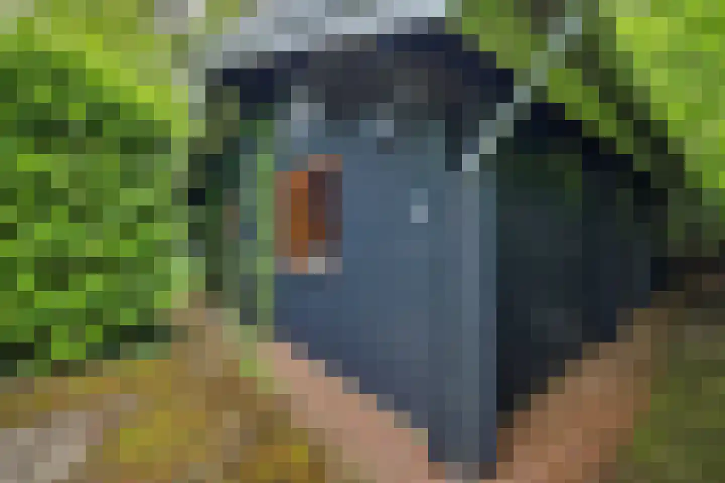 Kievitspad 41 Haaren thumbnail 31
