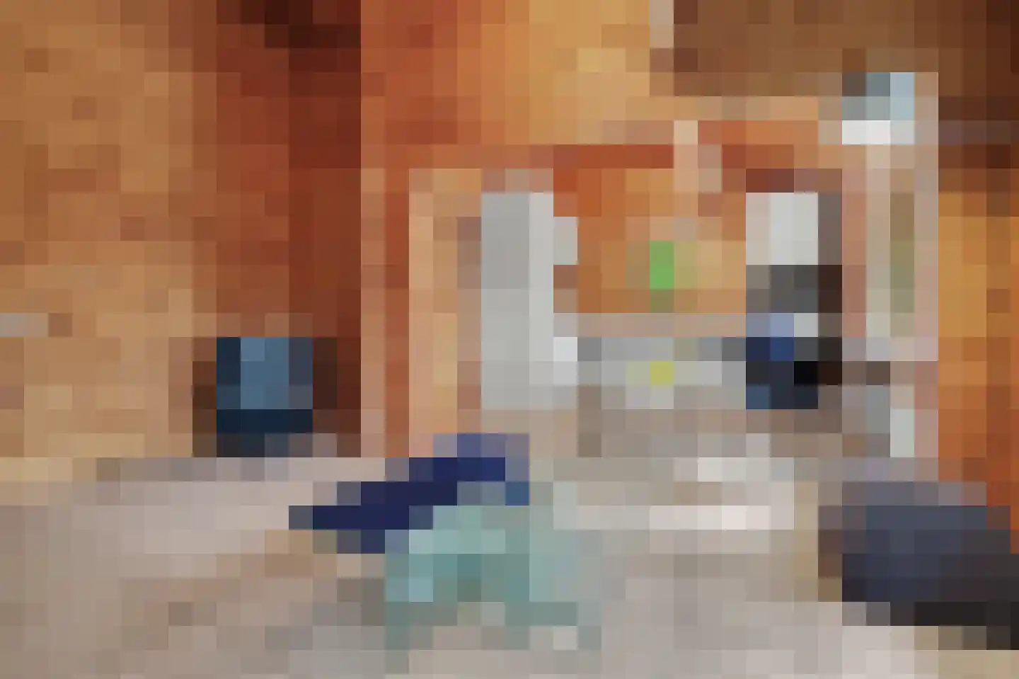 Kievitspad 41 Haaren thumbnail 9