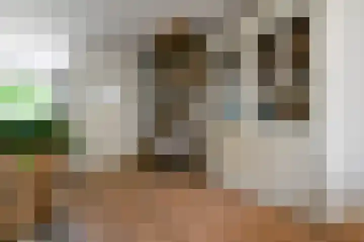 Kievitspad 51 Ter Aar thumbnail 13