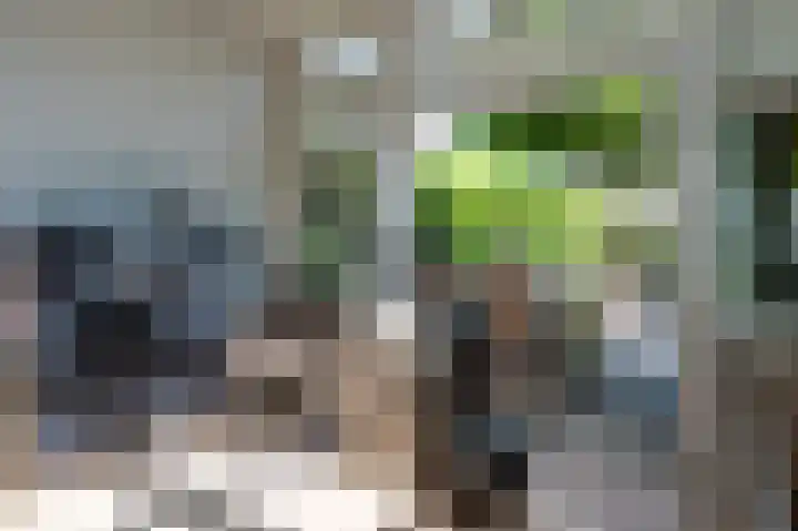 Kievitspad 51 Ter Aar thumbnail 14