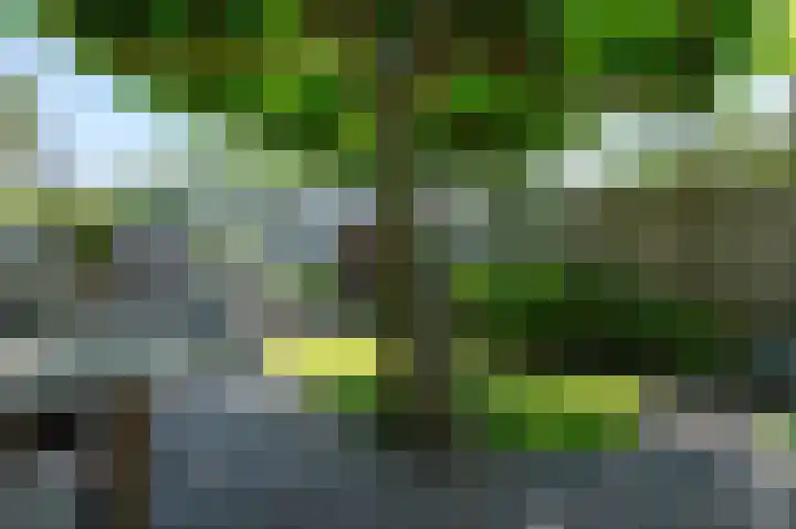 Kievitspad 51 Ter Aar thumbnail 22
