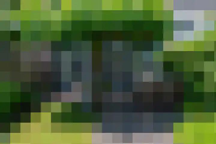 Kievitspad 51 Ter Aar thumbnail 23