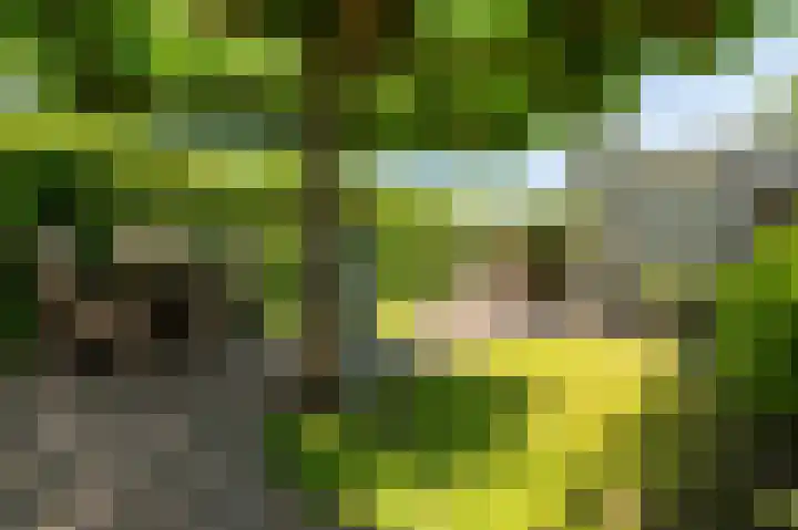 Kievitspad 51 Ter Aar foto 3
