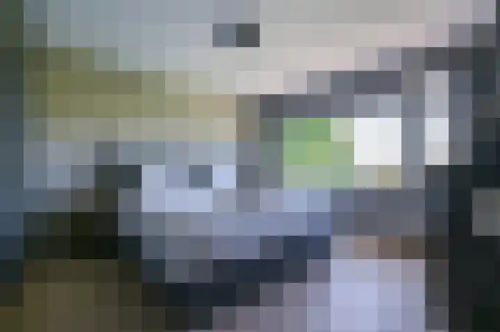 Kievitspad 51 Ter Aar thumbnail 34
