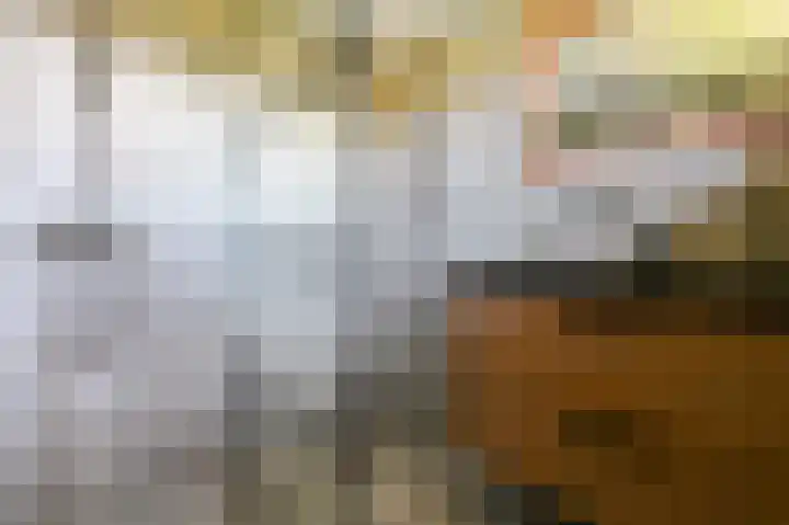 Kievitspad 51 Ter Aar thumbnail 37