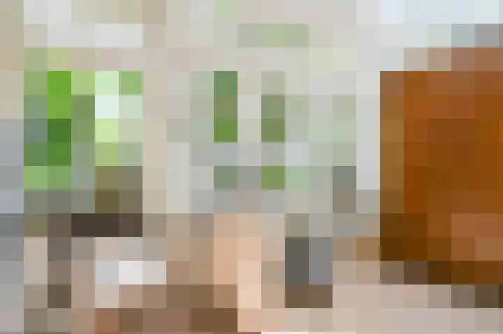 Kievitspad 51 Ter Aar thumbnail 5