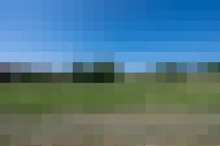 Kievitspad 51 Ter Aar thumbnail 55