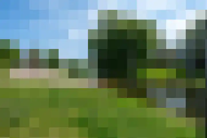 Kievitspad 51 Ter Aar thumbnail 57