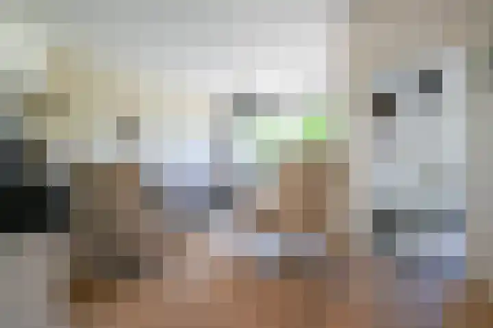 Kievitspad 51 Ter Aar thumbnail 9