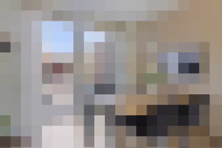 Kievitspad 9 Amersfoort thumbnail 10
